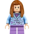 LEGO Harry Potter - Az Odú gyűjtői kiadás (76437)