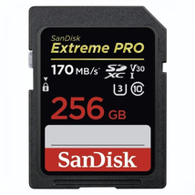 SanDisk SDXC Extreme Pro 256GB UHS-1/C10/U3/V30 SDSDXXY-256G-GN4IN/183532