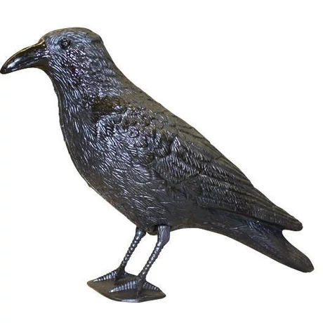 Galambriasztó műholló